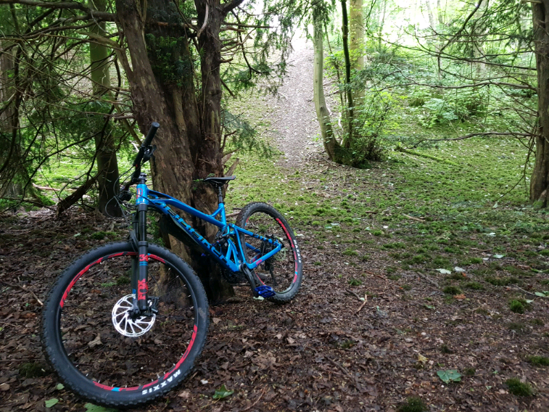 mondraker foxy r 2009